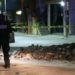 Miriam de 19 años fue asesinada a puñaladas en Monterrey