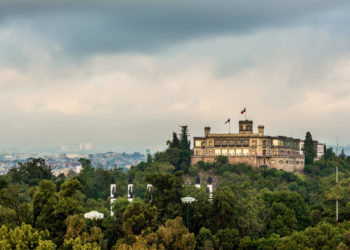 Fue año de desarrollo en México
