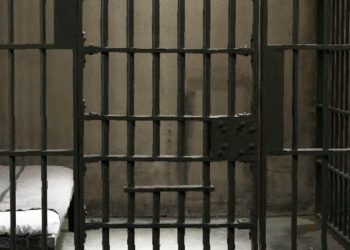La comisión de justicia aprueba el dictamen de la  “ley olimpia”