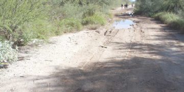 Cuatro feminicidios en los últimos cinco días en Sonora