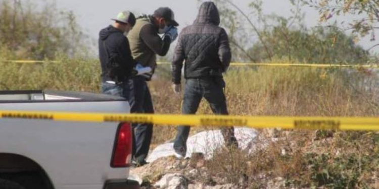 Hallazgo de 5 cadáveres en Tocumbo