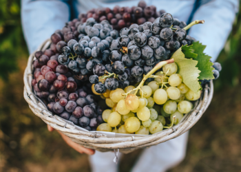 Uvas en año nuevo, un ritual con beneficios para la salud