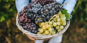 Uvas en año nuevo, un ritual con beneficios para la salud