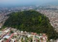 Xalapa ha perdido 85% de cobertura forestal