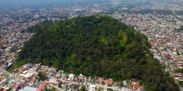 Xalapa ha perdido 85% de cobertura forestal