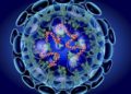 Es confirmado tercer caso de coronavirus en Estados Unidos