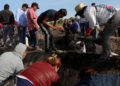 Huachicoleo disminuyó en 91% durante 2019: Pemex