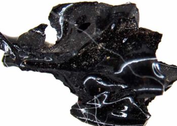 Descubren un cerebro vitrificado de casi 2 mil años de antigüedad