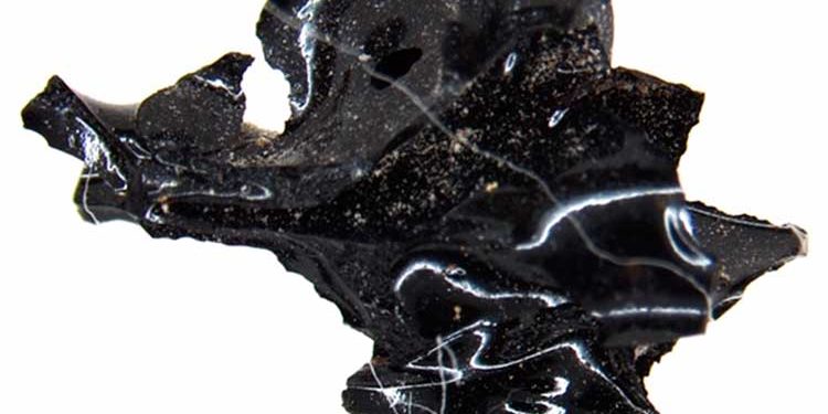 Descubren un cerebro vitrificado de casi 2 mil años de antigüedad