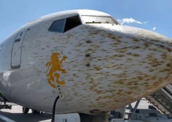 Avión impacta con enjambre de langostas y aterriza de emergencia