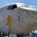 Avión impacta con enjambre de langostas y aterriza de emergencia
