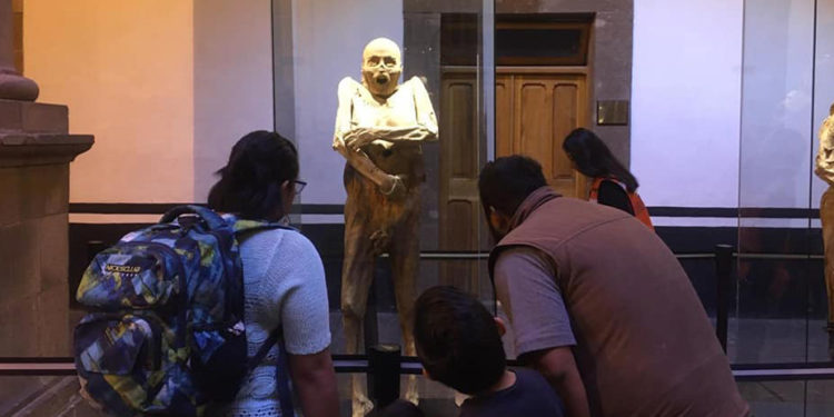 Exposición de Momias de Guanajuato ha registrado más de 37 mil visitantes