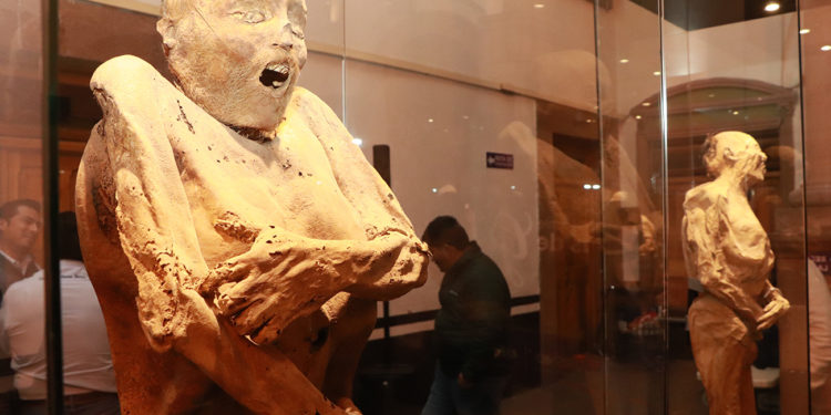 4 mil personas visitaron las “Momias de Guanajuato” en palacio municipal