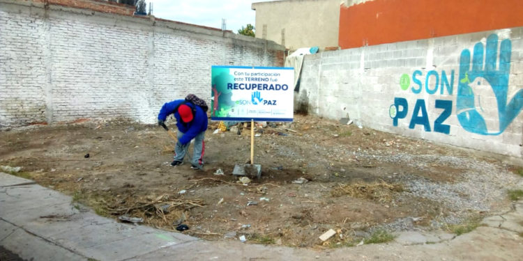 Gobierno Municipal recupera 60 lotes baldíos