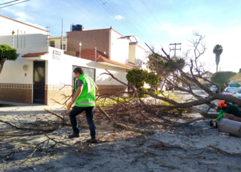 Ayuntamiento intensifica programa “Fuertes Vientos 2020”