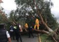 Elementos de la policía vial liberaron vialidades obstruidas