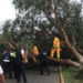 Elementos de la policía vial liberaron vialidades obstruidas