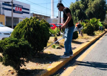 Ayuntamiento lleva a cabo acciones permanentes de limpieza