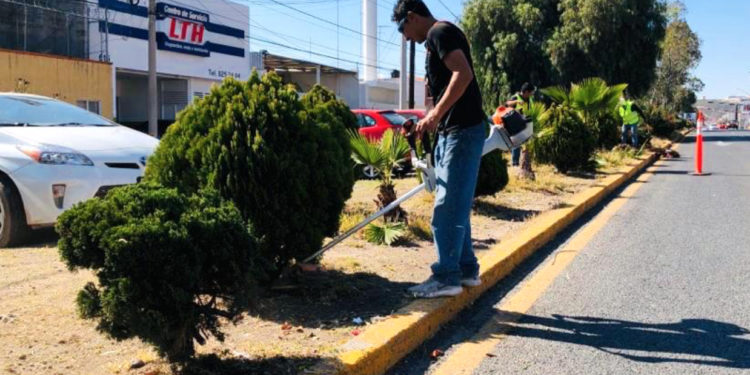 Ayuntamiento lleva a cabo acciones permanentes de limpieza