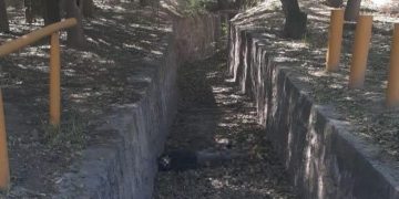 Sufre paro cardíaco y cae al canalón del parque Tangamanga I