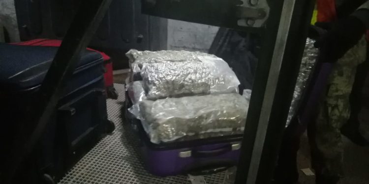 Encuentran en maletas 81 kilos de marihuana