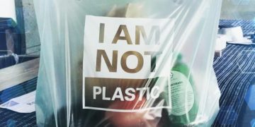 Buscan sancionar el comercio de bolsas biodegradables
