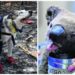 Oso, el perro rescatista de animales heridos por incendios de Australia