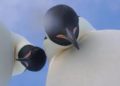 Pingüinos se toman selfie y se vuelve viral