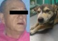 Dictan prisión preventiva contra violador de perrita en Nezahualcóyotl
