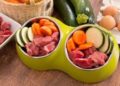 Snacks saludables para entrenar a tu perrito