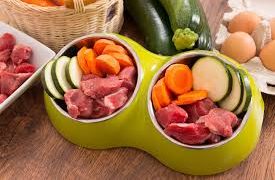 Snacks saludables para entrenar a tu perrito