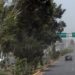 Se coordinan esfuerzos para atender los daños causados por fuertes vientos