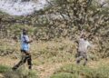 La ONU da voz de alarma por voraz plaga que amenaza a varios países