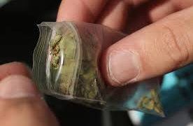 Dosis de marihuana fueron aseguradas por FME, hay  tres jóvenes detenidos