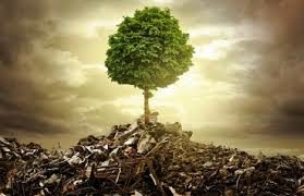 ¿Cuánto tiempo dura la basura en el medio ambiente?