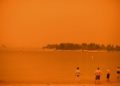 La tragedia por los incendios en Australia