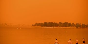 La tragedia por los incendios en Australia
