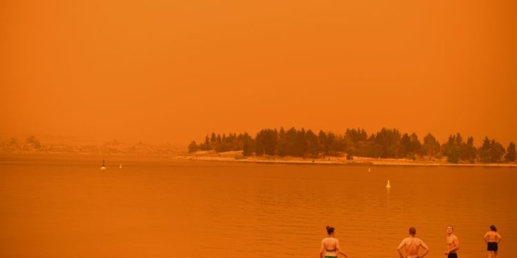 La tragedia por los incendios en Australia