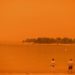 La tragedia por los incendios en Australia