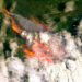 La magnitud del incendio en Australia