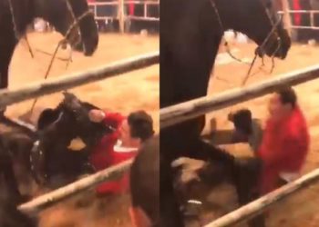 José Manuel Figueroa se cayó de su caballo en medio de un espectáculo