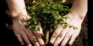 Diputados federales buscan empoderar a la mujer en el ámbito del medio ambiente