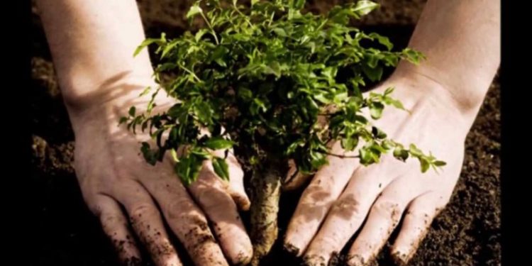 Diputados federales buscan empoderar a la mujer en el ámbito del medio ambiente