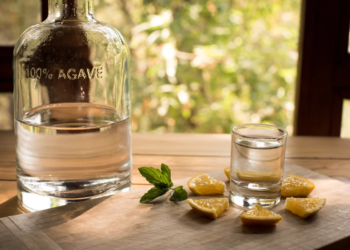 Para todo mal, mezcal, para todo bien también, algunos beneficios de esta bebida