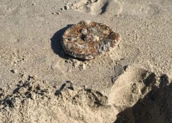 Encuentran mina de la II Guerra Mundial en playa de Florida