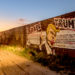 Tribunal autoriza construir el muro: Trump