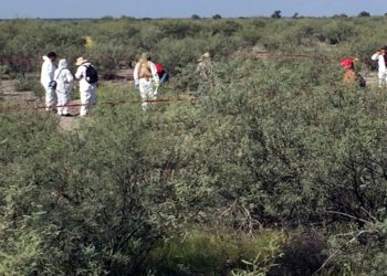 Los 10 estados en los que el narco sembró el pánico