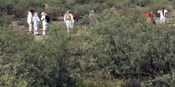Los 10 estados en los que el narco sembró el pánico