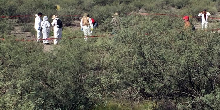 Los 10 estados en los que el narco sembró el pánico