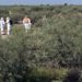 Los 10 estados en los que el narco sembró el pánico